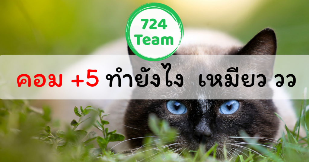 ขายพรบ รถยนต์ยังไงให้ได้คอมเพิ่ม อีก 5 แบบง่ายๆ