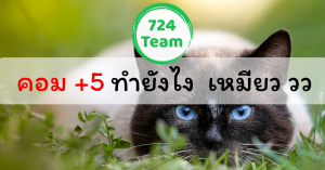 ขายพรบ รถยนต์ยังไงให้ได้คอมเพิ่ม อีก 5 แบบง่ายๆ