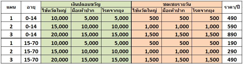 ประกันไข้หวัดใหญ่
