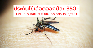 ประกันไข้เลือดออกปีละ 150