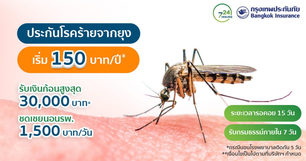 ประกัน โรคไข้เลือดออก